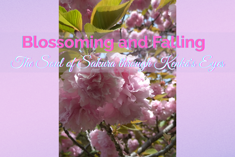 Yoshida Kenko inspirational words on cherry blossoms Japanese classic text