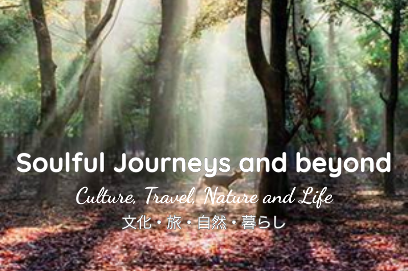 Soulful Journeys and Beyond – Where Spirit Touches the Everyday