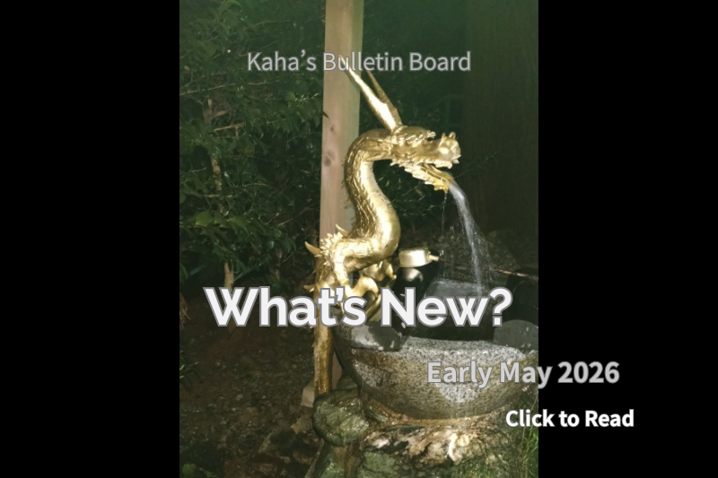 Golden dragon water flowing at a shrine at night with “What’s New? Early May 2026” text, creating a calm and mystical atmosphere.