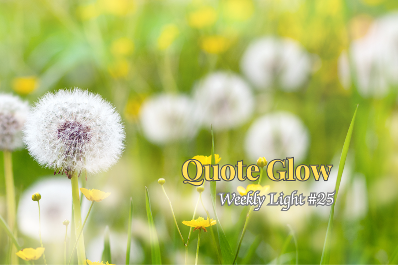 Quote Glow — Weekly Light #25 featuring soft dandelions and spring grass in gentle sunlight, with a calm green and yellow nature background.
