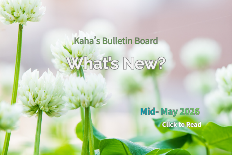 White clover flowers glowing softly in early summer light, featured in the What’s New? update for May 2026