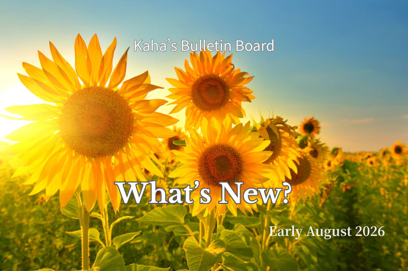 Cover image for Kaha's Bulletin Board featuring a vibrant sunflower field at sunset with the title "What's New? – Early August 2026," introducing the latest updates on Japanese sacred places, seasonal journeys, and new blog posts.