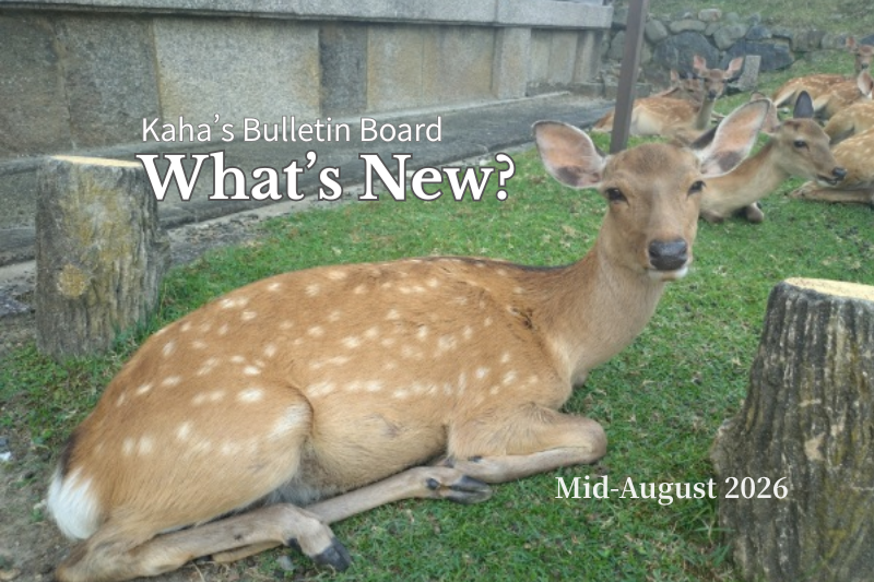 A young Nara deer resting on the grass with other deer in the background, featured on Kaha’s Bulletin Board “What’s New?” for Mid-August 2026.