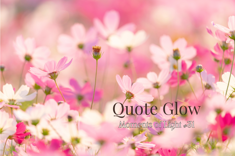 Pink cosmos flowers with the title “Quote Glow – Moments of Light #31,” a seasonal autumn feature from Rainbow Awakening.