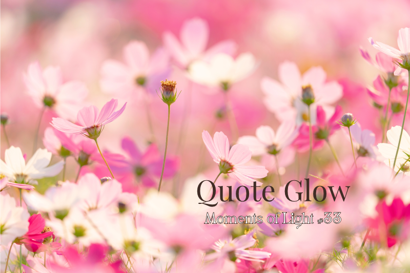 Pink cosmos flowers with the title “Quote Glow – Moments of Light #32,” a seasonal autumn feature from Rainbow Awakening.